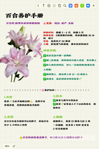 肉多到炸的百合，探索百合文化中的丰腴美学肉多到炸的百合还能吃吗