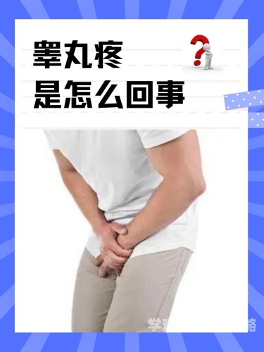 男人版，现代男性的生活方式与健康指南男人帮你还钱是真爱吗