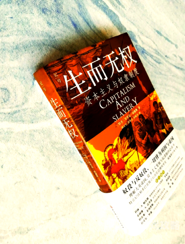 公主的奴隶公主的奴隶，权力与爱情的纠葛