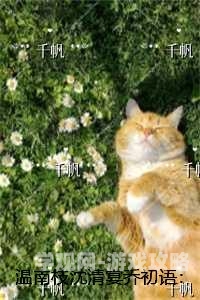 肥水不流外人田小说免费阅读全文肥水不流外人田小说免费阅读全文，当代都市情感纠葛的全景展现