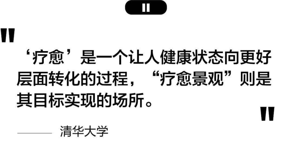 久久亚洲成人，探索多元文化下的性健康与隐私保护可以润色的网站有哪些