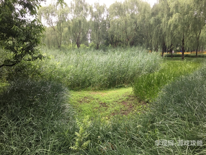 青草久久超碰新闻青草久久人人97超碰国产亚洲精