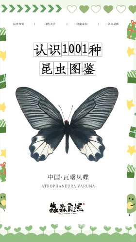 探索免费网站的神秘世界