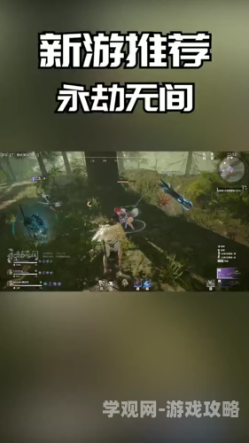 不卡无码人妻一区二区三区，探索神秘区域