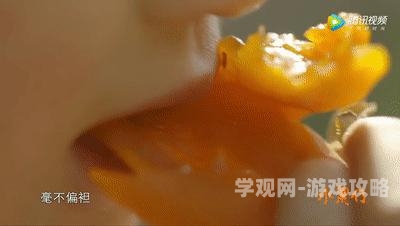 一本一道久久a久久精品综合色欲一道久久，精品综合色欲引领者