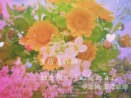 软香苏玛丽，一款令人陶醉的香水，揭秘其背后的故事与魅力软香苏玛丽笔趣阁最新章节更新时间