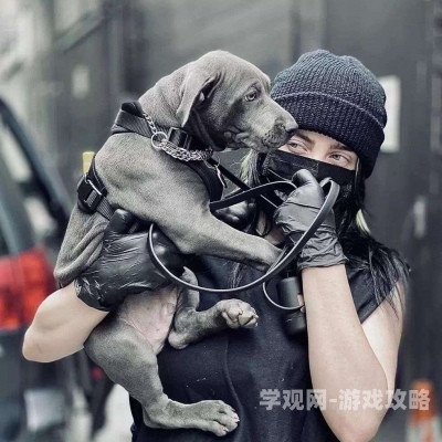 欧美人牲性动交另类欧美人牲性动交另类现象解析，文化、法律与伦理的多重考量