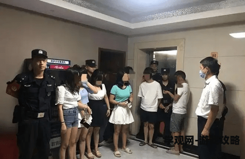 麻豆一精品传媒短视频，创新与品质的完美结合麻豆传媒出精品了