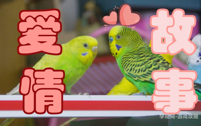 阿宾与钰慧，一段感人至深的爱情故事阿宾钰慧哪本小说