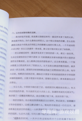 长篇乱系列小说合集，深度解析与推荐