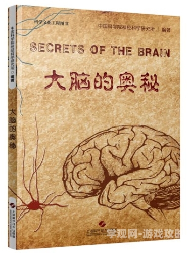 女的下面同时放两根进去小说探索女性身体奥秘，科学解读女性生理结构与健康
