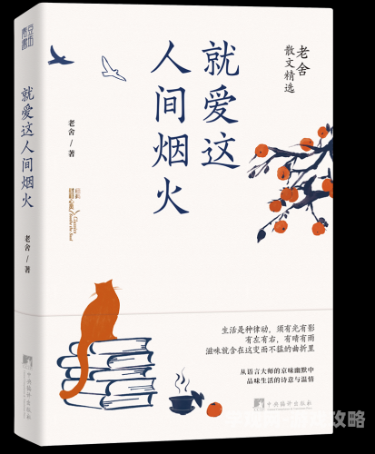 被喂饱的室友，现代合租生活中的温情与挑战