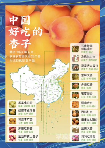 青梅不经c1v2玉米青梅不经C1V2玉米，从传统到现代的农业创新之路