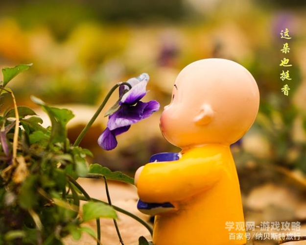 乡村野花香无删减版免费阅读全文，探索乡土文学的独特魅力乡村野花香完整小说