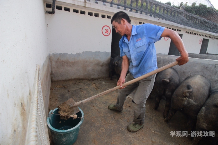 一个傻子如何改变一个村庄的命运一个傻子弄一个村txt