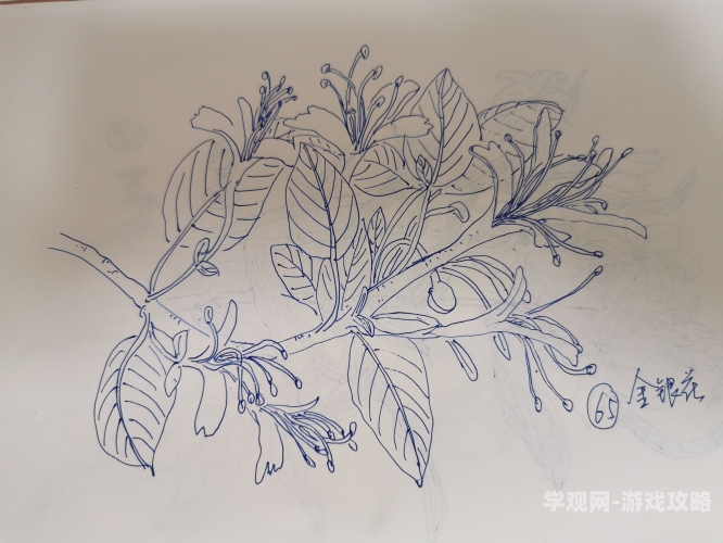 《深不可测》金银花阅读深不可测，金银花阅读指南