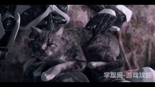 漂亮的保姆中字免费观看全集现象级热剧引发的社会讨论