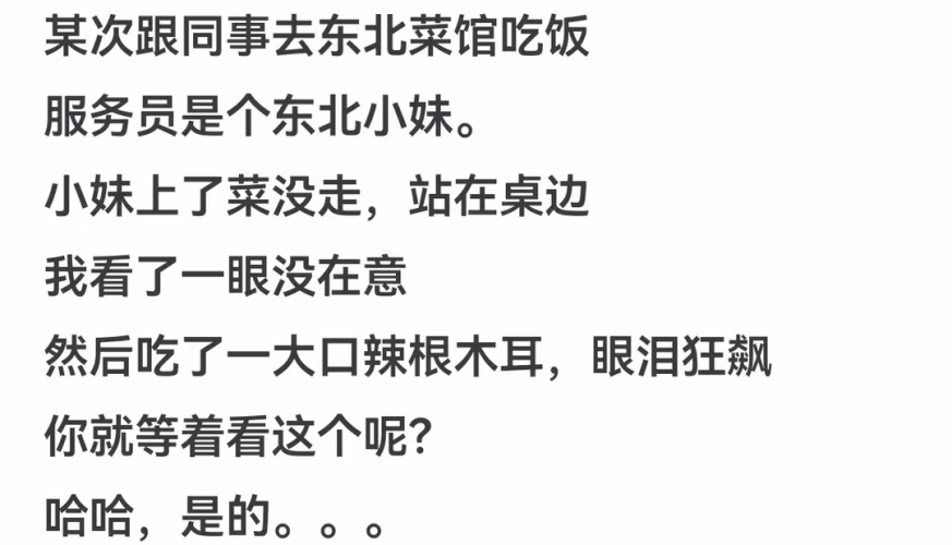东北告别天团全网免费观看指南，正版平台解析与黑色幽默背后的殡葬文化思考东北话告别
