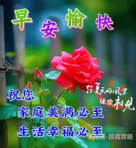 心情好又暖，探索生活中的幸福源泉心情好又暖电视剧免费观看