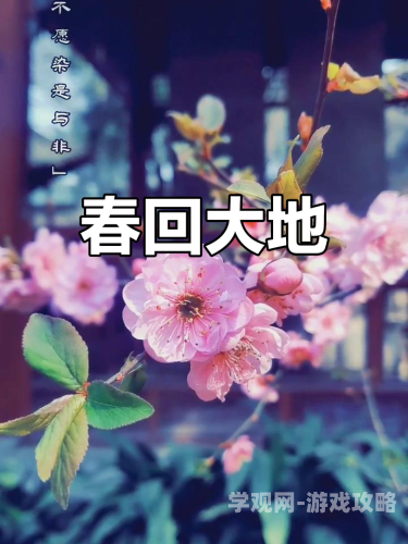 花开花落几番晴，论生命轮回中的诗意与哲思花开花落几番晴,花开花落昔年同