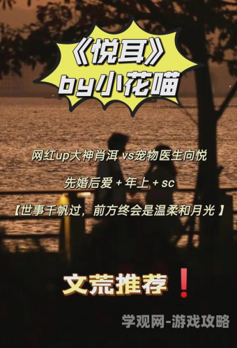 水深火热小花喵po，揭秘网红猫咪背后的辛酸与温暖水深火热小花喵最新章节