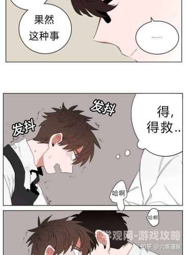 《下厨房》金银花免费阅读全文正文内容