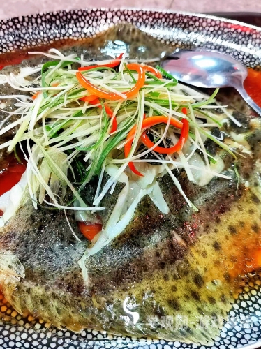 今天吃肉吗？1份肉食3份素食的黄金比例大揭秘今天吃肉吗1V1红烧肉_第1集