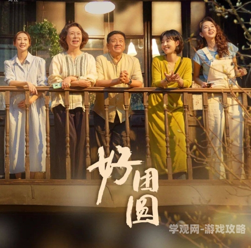 大团圆结2，亲情会闪闪发光 家庭温暖的银幕再现大团圆结2亲情会闪闪发光目录笔趣阁