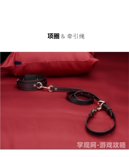 欧美成人亚洲综合精品欧美激情欧美成人综合精品，亚洲风情下的激情碰撞
