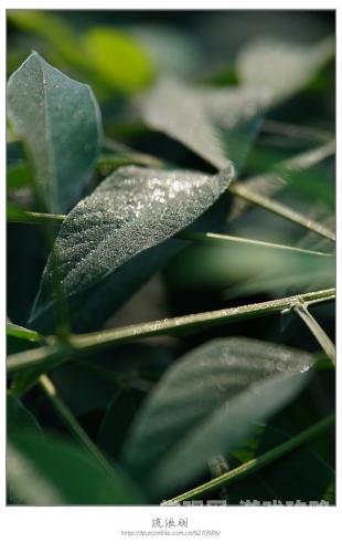 草草草草久久综合视频草草草草久久综合视频，新闻资讯网站深度解析