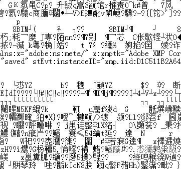 2009中文乱码视频，乱码背后的故事与解决之道