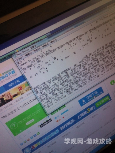 2009中文乱码视频，乱码背后的故事与解决之道