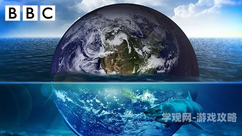 亚洲高清在线，引领数字时代的新视界今天高清视频在线观看播放
