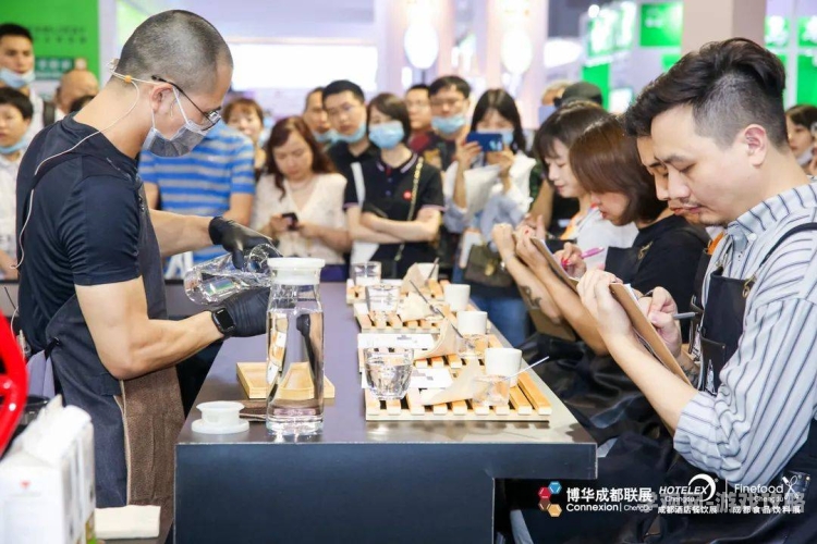 国内精品视频分区一探，多元内容与精彩纷呈